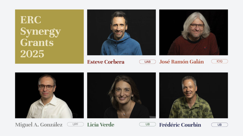 ICREA ERC Synergy grants 2025