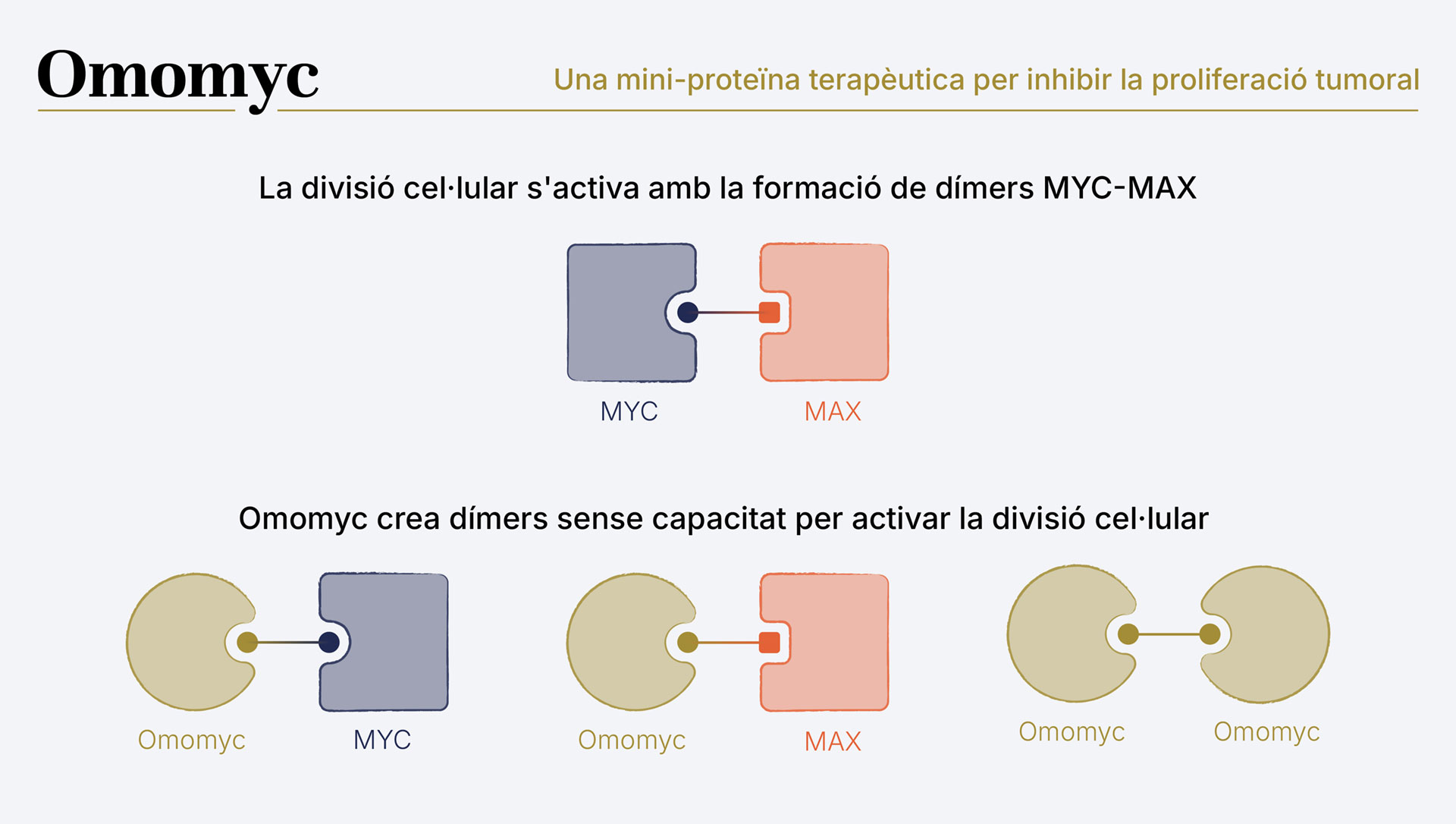 ICREA_Proteinas-05