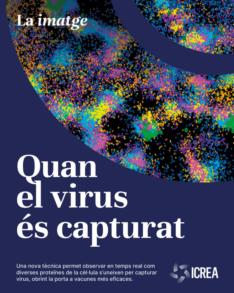 virus-capturat-poster