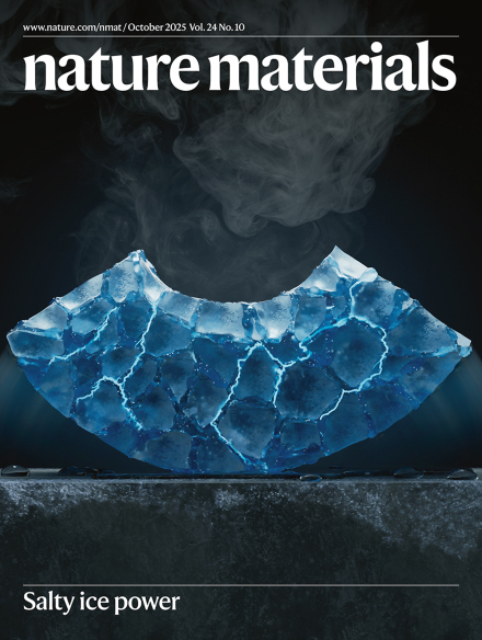 Portada de la revista Nature Materials
